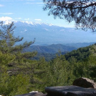 Views From Cadianda Heroon