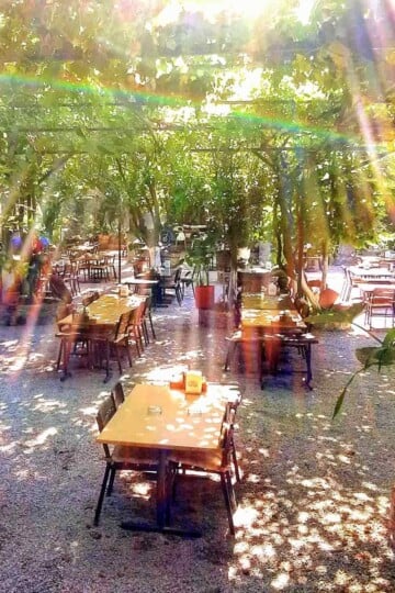 Wooden tables and chairs on gravel ground shaded by overhead vines with the sun breaking through.
