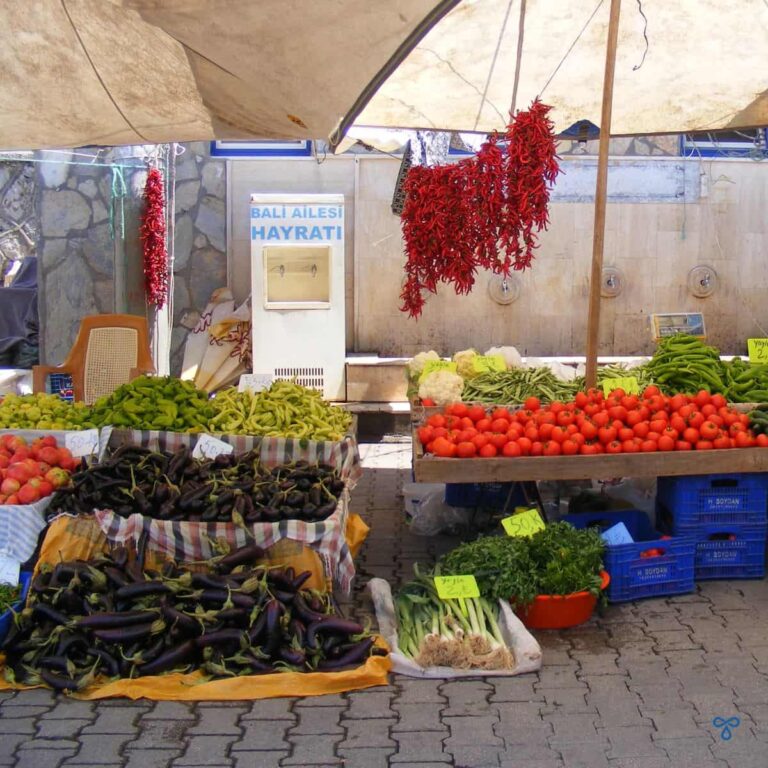 Dried red chillies hang above a market stall selling aubergines, peppers and tomatoes