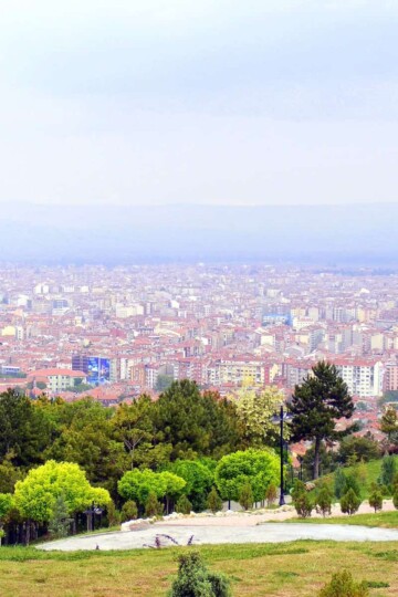 A grassy terraced hillside overlooks a cityscape below. Streetlights are on the terraces.