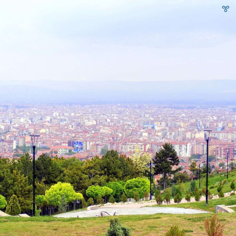 A grassy terraced hillside overlooks a cityscape below. Streetlights are on the terraces.