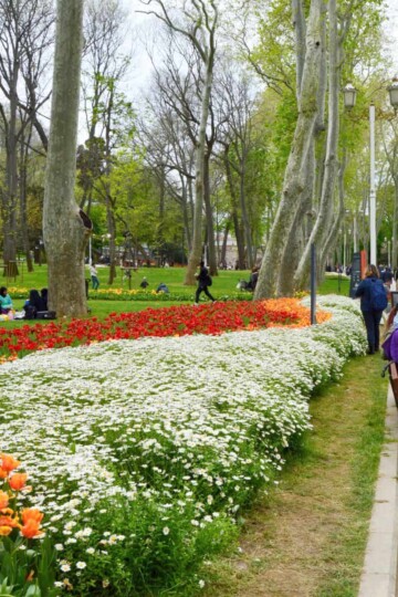 A swirling pattern of tulips and other flowers. Red, yellow and orange.