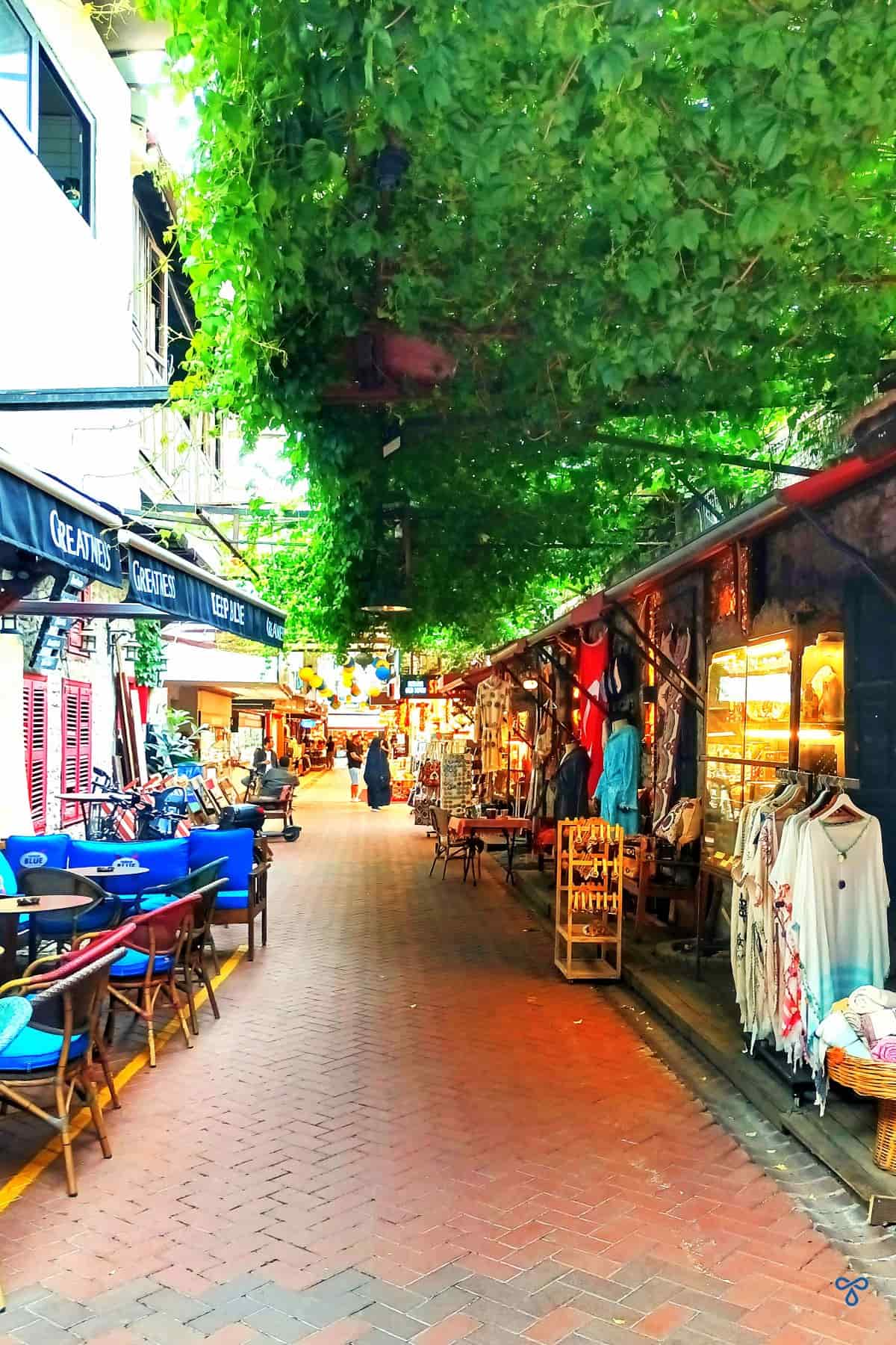 Looking down a pedestrianised street in Paspatur, Fethiye. Overhead vines shade the street and the chairs of Deep Blue are to the left with souvenirs on display to the right.