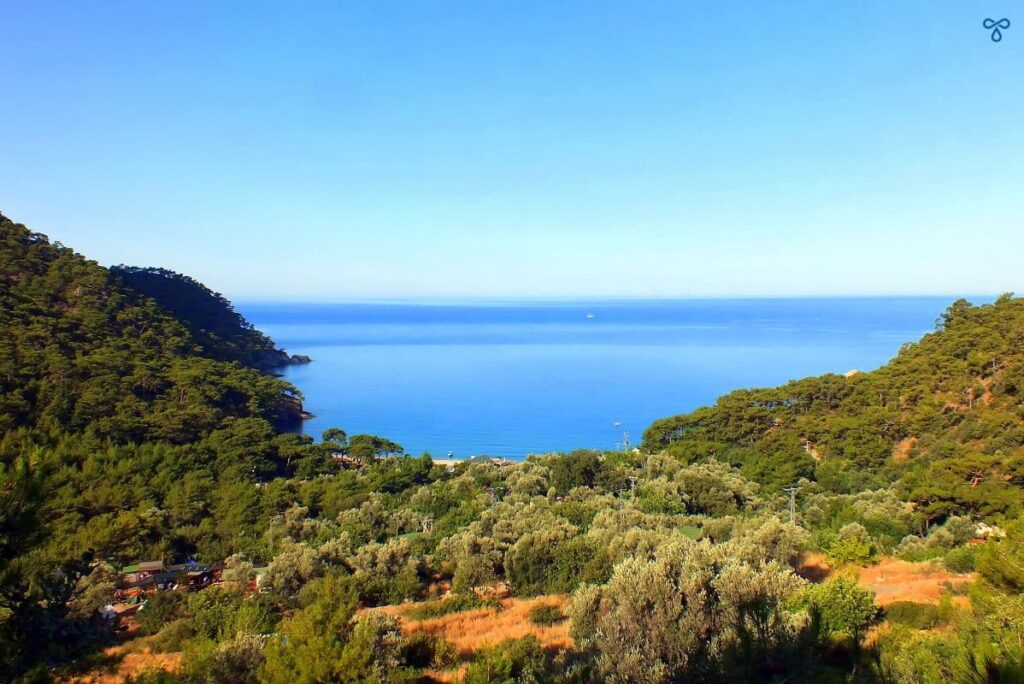 Looking over the bay from above. The bay is surrounded by green forest and the sea is very blue.