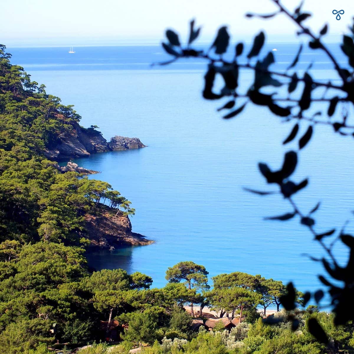 A view of Kabak Beach and the sea from high up. Pine trees surround the coastline.