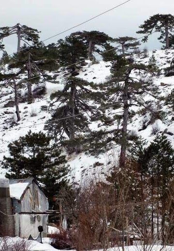 Winter In Kırkpınar, Fethiye