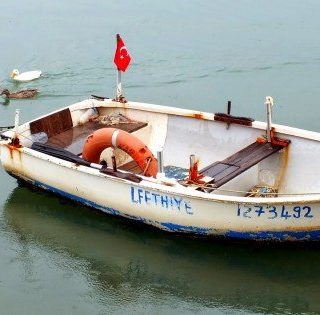 Fethiye Ducks