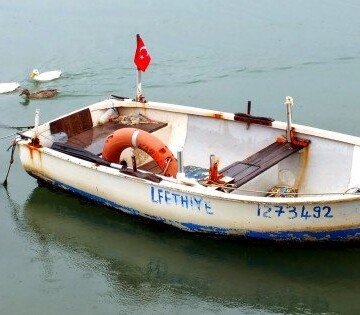 Fethiye Ducks