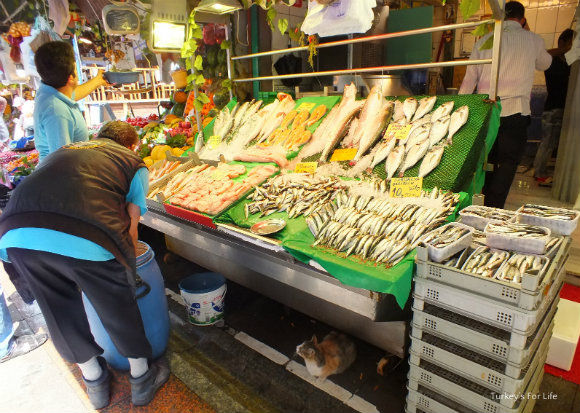 Fresh Fish, Kadıköy Market, Istanbul Istanbul Fish Stall