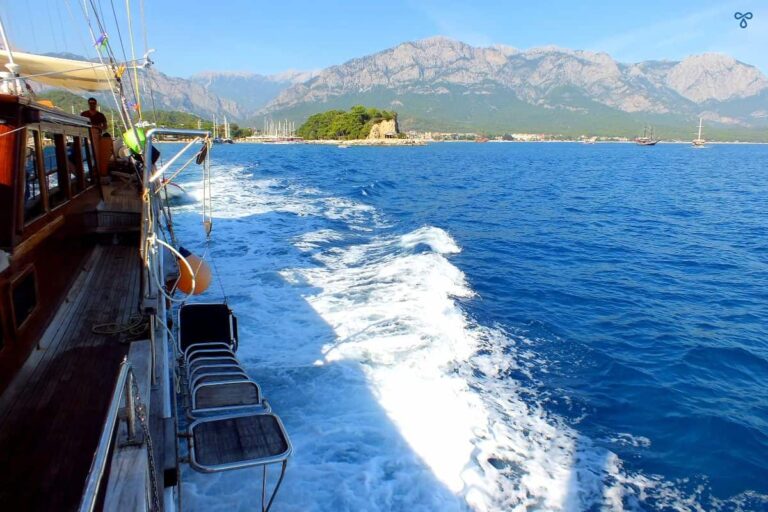 A pine clad cliff face drops into the calm sea. Viewed from a moving boat.