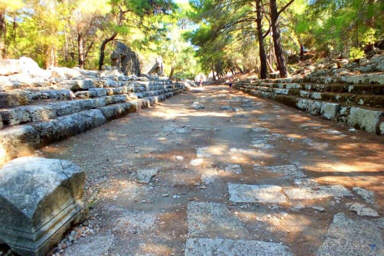 Hadrian's Agora at the ancient ruins of Phaselis. The pathway is lined with pine trees on each side.