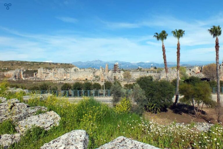 Springtime scene overlooking the ancient Perge ruins. Wildflowers are in the foreground with three tall palm trees to the right.