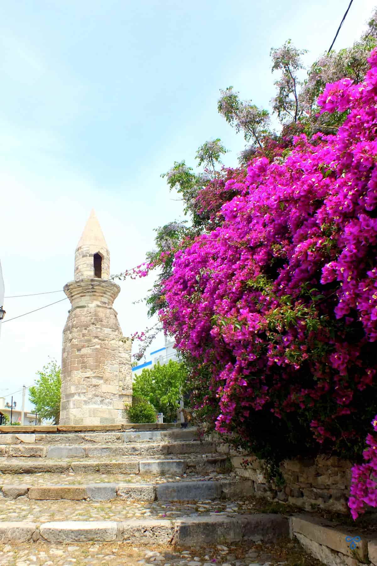 A short, stone minaret at the top of stone steps. Bougainvillea tumbles over the wall running up the right hand side of the steps.