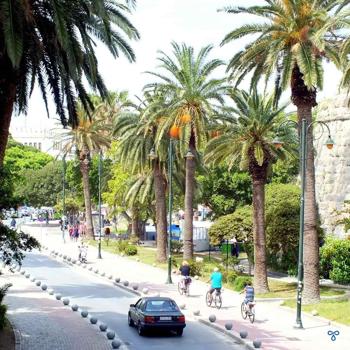 A view of Phoinikon Street lined with palm trees. People are riding cycles along the path.