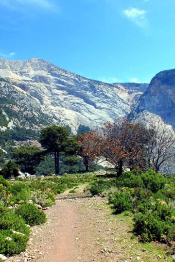 Mountain Path Ovacık To Faralya
