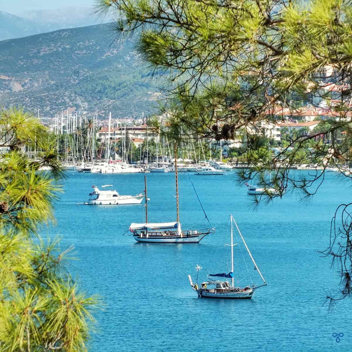 Three Turkish gülets in the bay of Fethiye. Pine trees frame the shot.