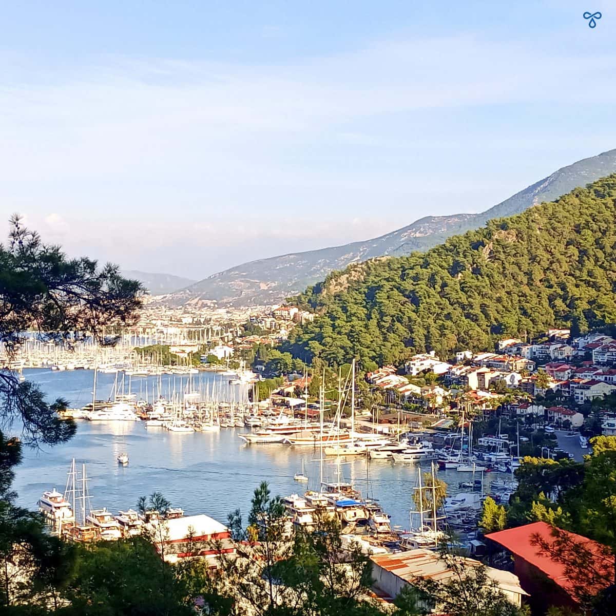 A view along Fethiye marina from above. Houses are nestled into the forested hillside to the right.