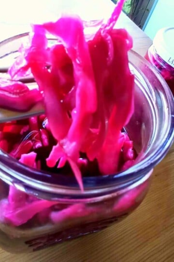 a fork lifts out shreds of pickled red cabbage from a jar. A sealed jar is in the background.
