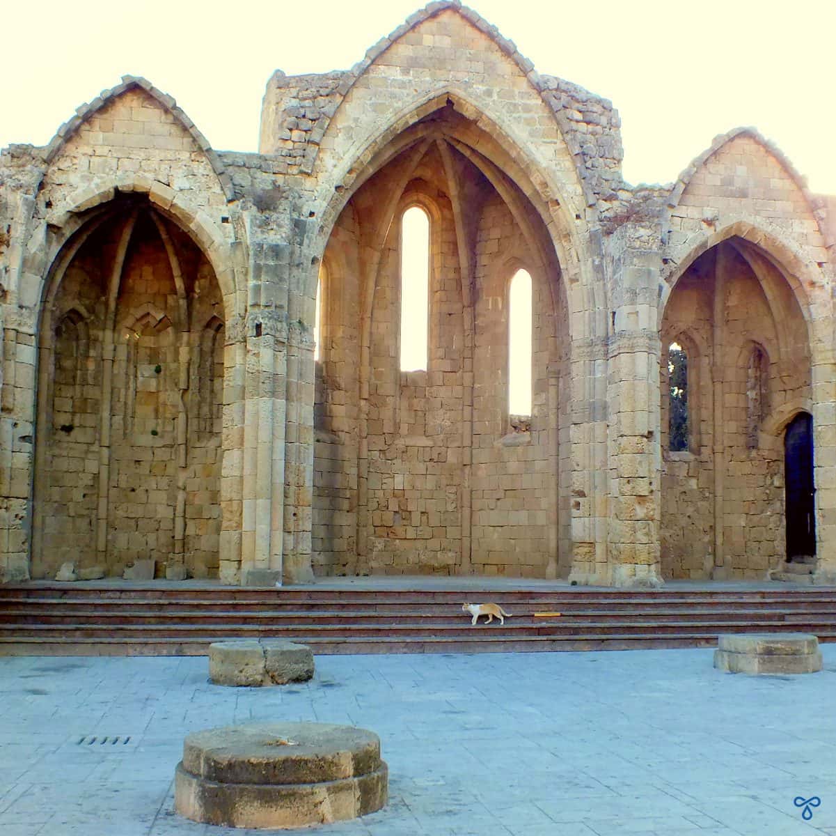 Three stone gothic arches of the ancient church of Virgin Mary of the Burgh in Rhodes Old Town. A cat is on the steps.
