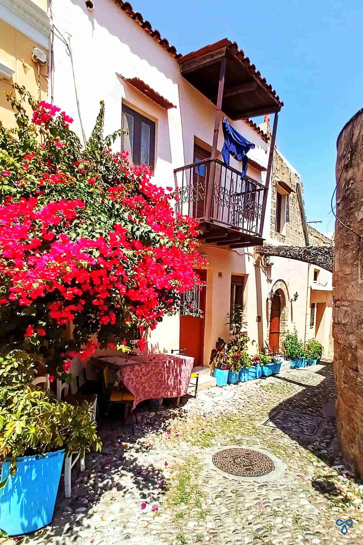 Bougainvillea adds colour to the side of a house on a narrow pedestrianised street in Rhodes old town.