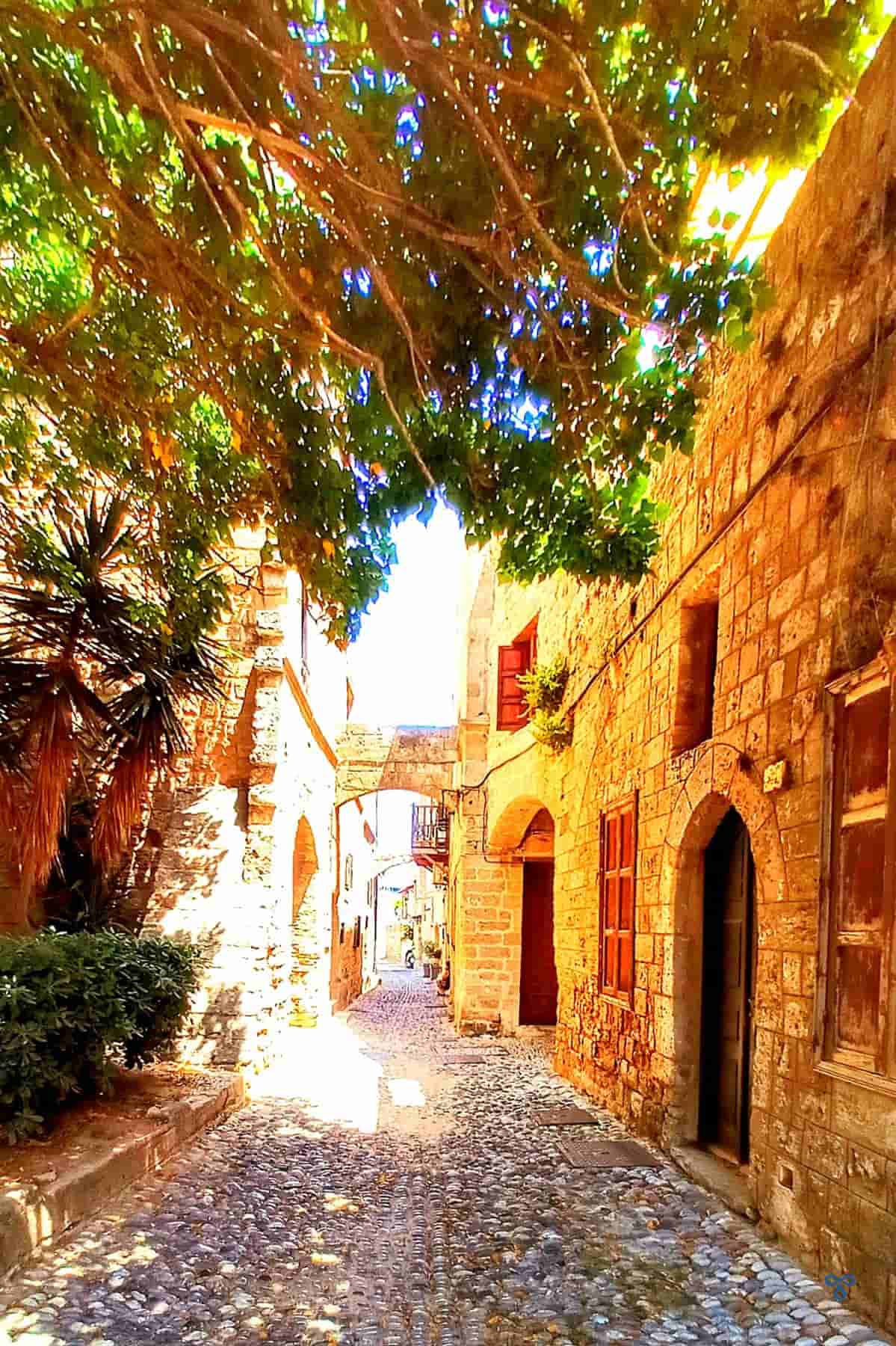 A narrow pebble floor alleyway with mediaeval arches in Rhodes Old Town. A tree shades the street on the left.