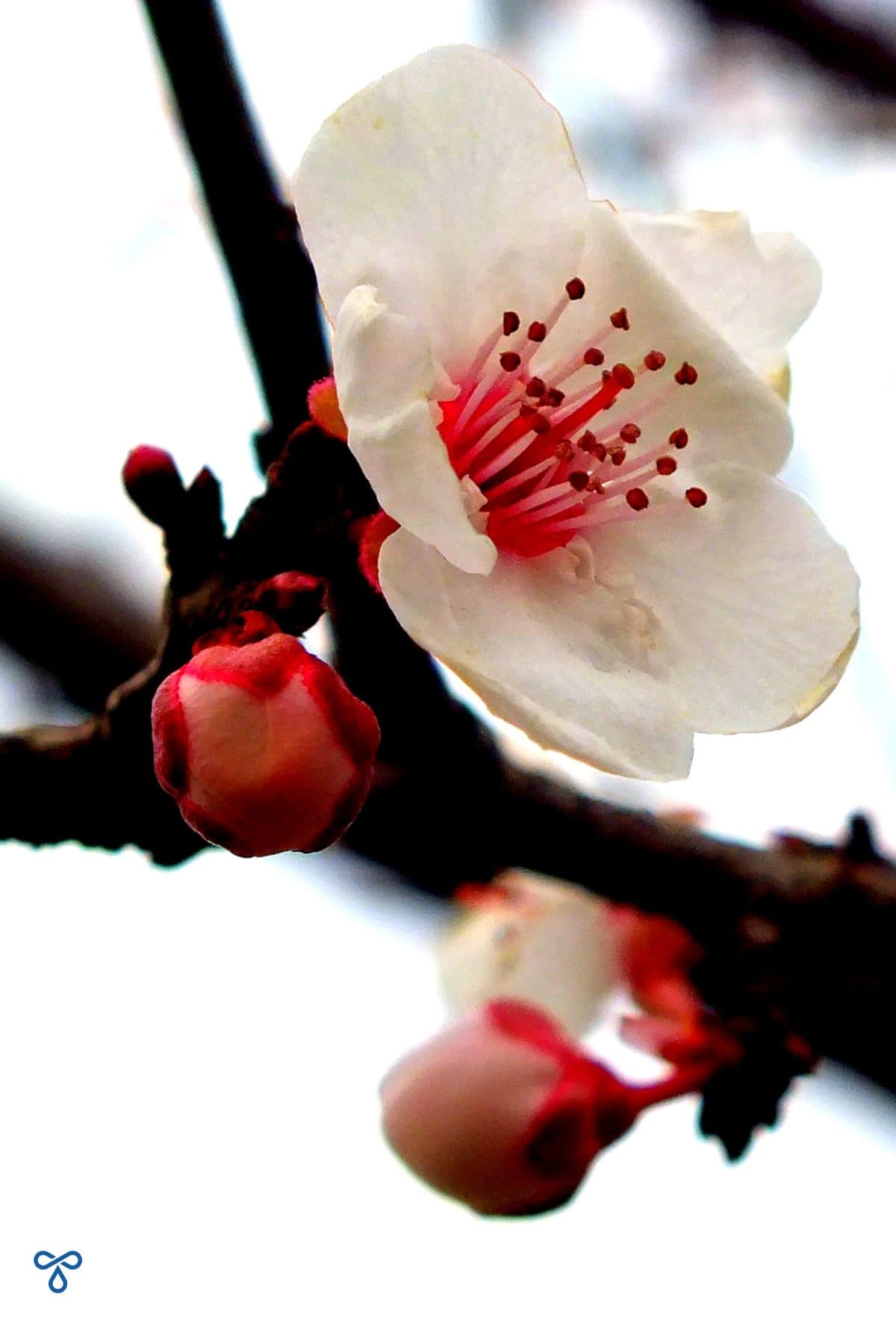 Top Events & Festivals in Turkey (2024) • Turkey's For Life