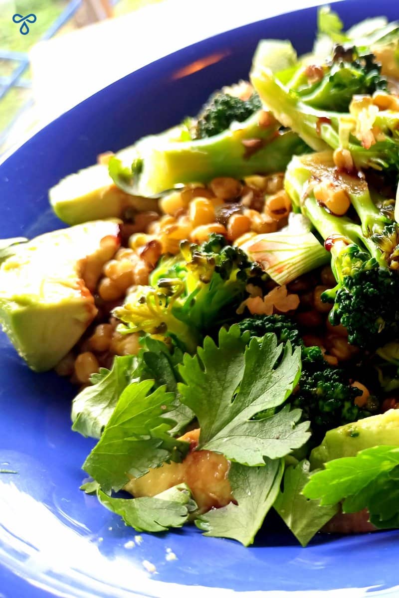 A bowl of Mung Bean Salad with Broccoli and Avocado.