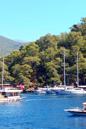 Traditional Turkish wooden gülets and yachts anchored in a bay. A pine-clad hillside backs onto the bay.
