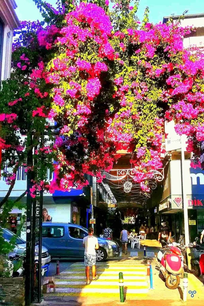 Bougainvillea trails from a steel frame above the exit onto a high street. A man crosses the road on a yellow and white-striped path.