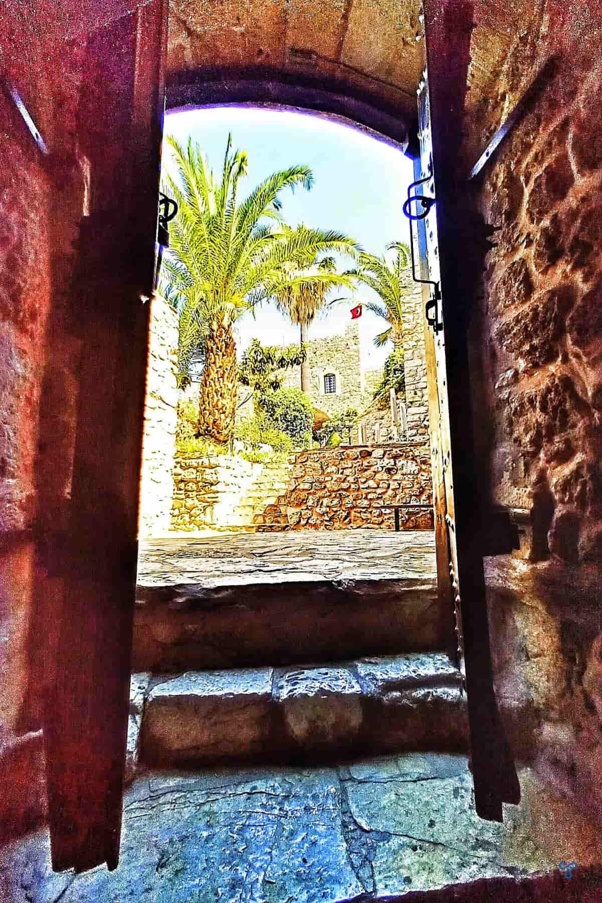 A view of a palm tree from inside the walls of Marmaris Castle.