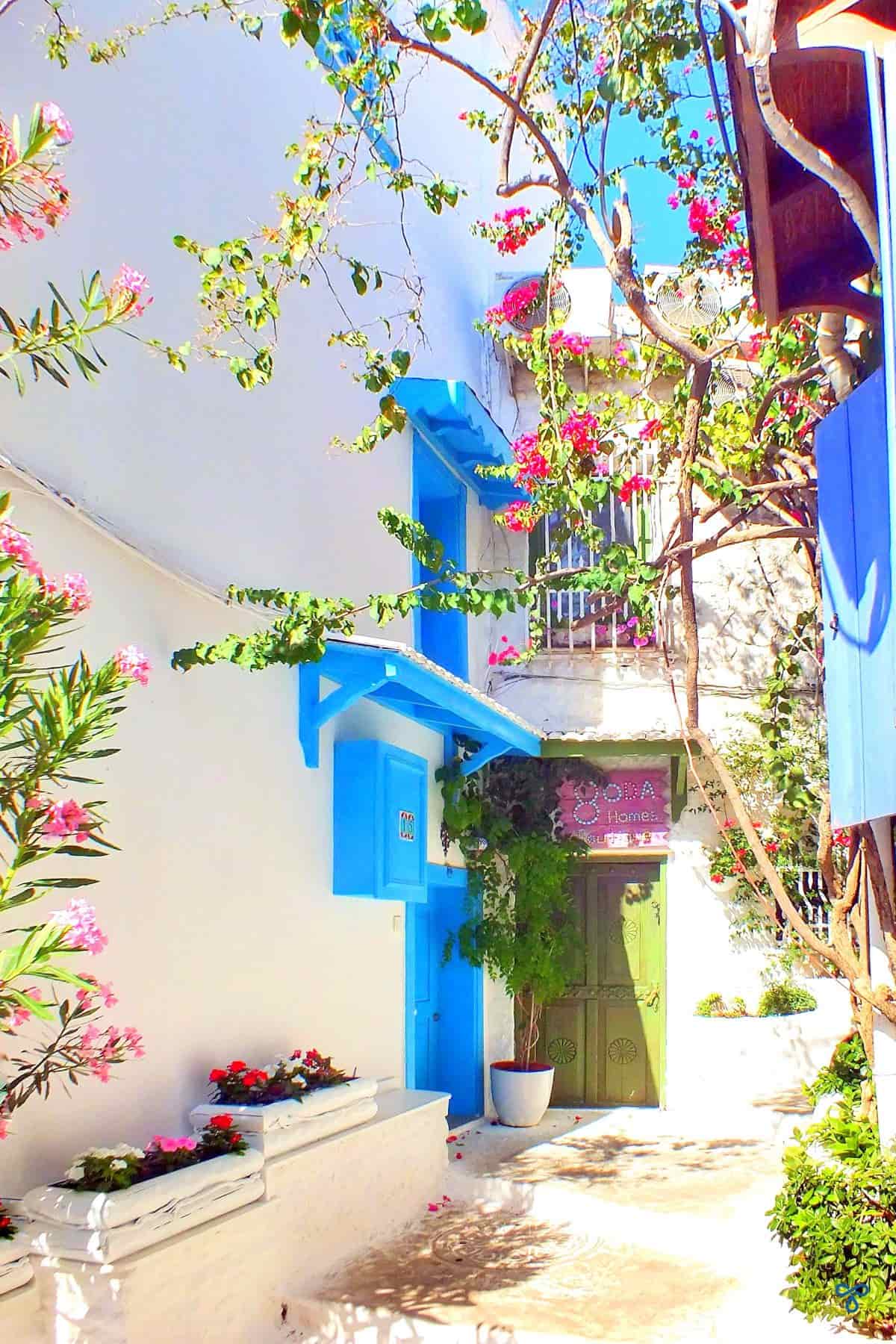 A whitewashed building with blue painted shutters and bougainvillea climbing up the walls.