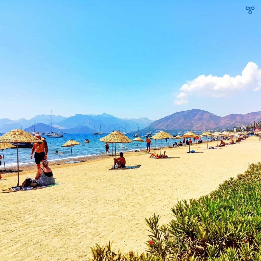 A stretch of beach with parasols.