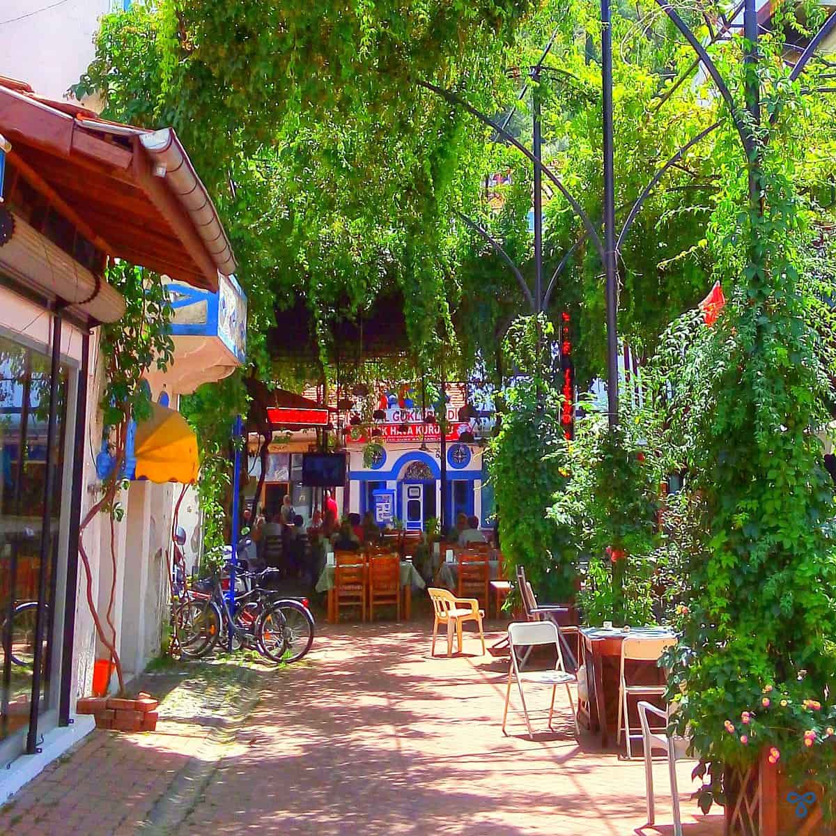 A cobbled street in Fethiye old town shaded by vines.