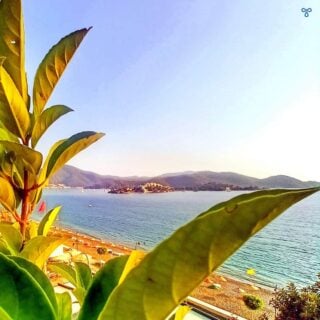 A view over the sea towards Fethiye from Roof Bar. A plant is in the foreground, framing the view.