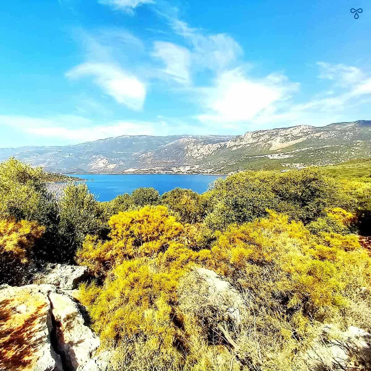 A view of the distant sea in Kaş with rocks and scrub in the foreground.