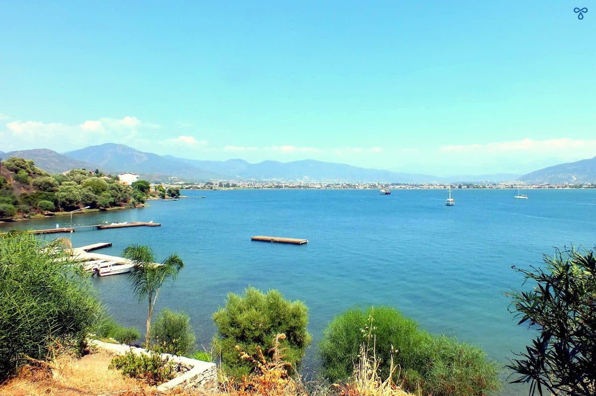 Sea views and olive trees from Şövalye Hotel. The sea is deep blue and very calm.