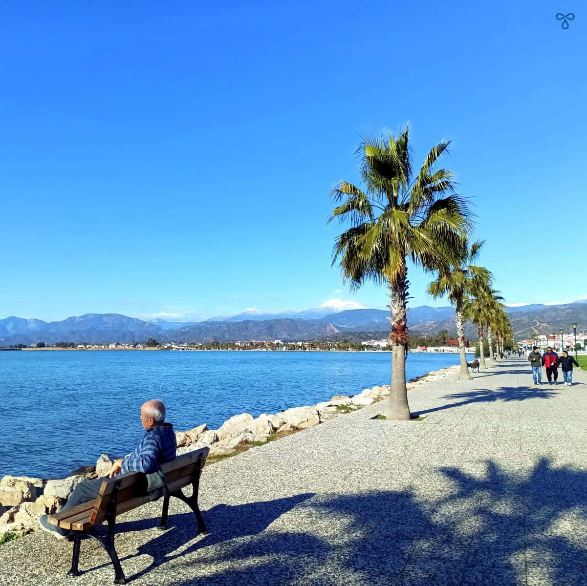 A man sitting on a bench looking at the sea in Fethiye. Palm trees line the promenade.