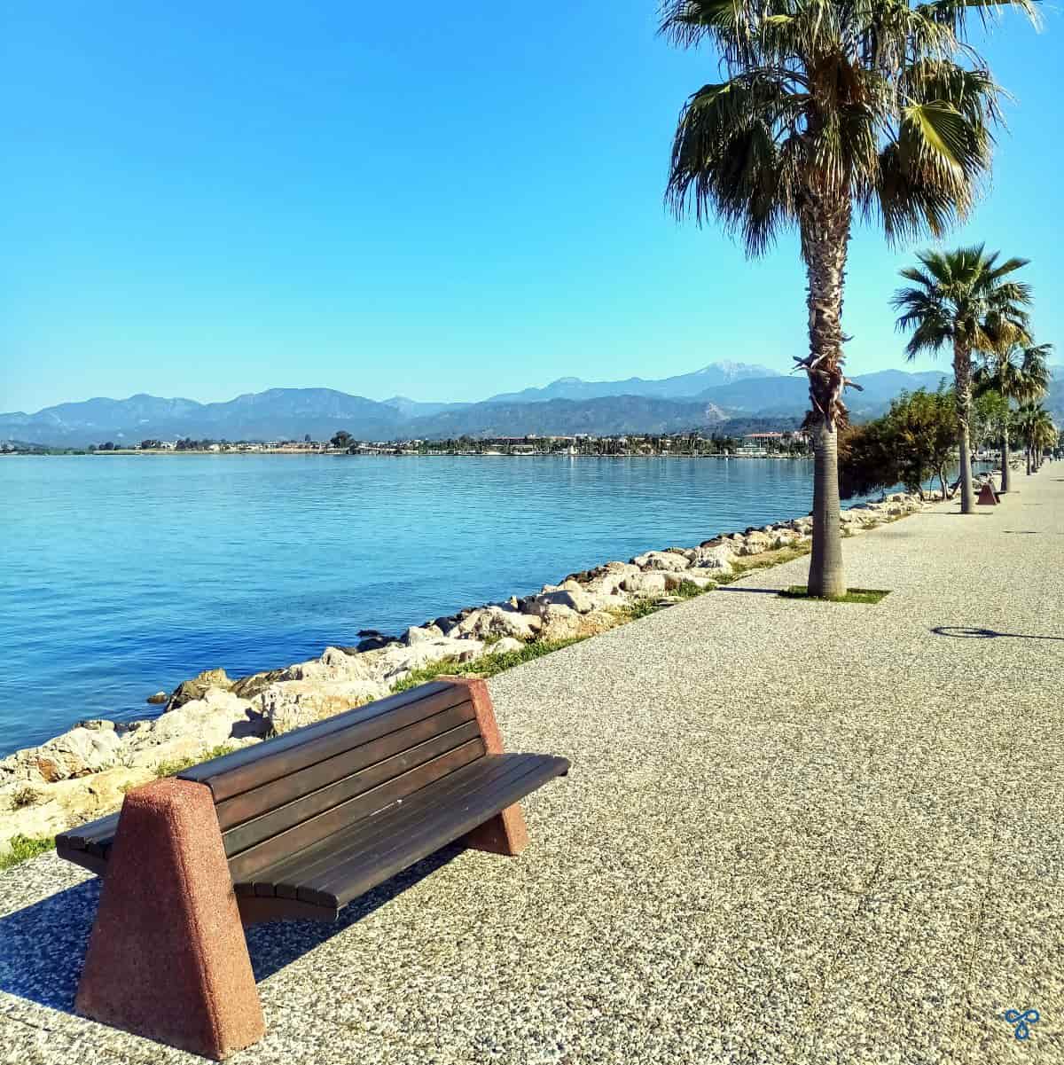A two-way bench along the shoreline in Fethiye with palm trees lining the harbour.