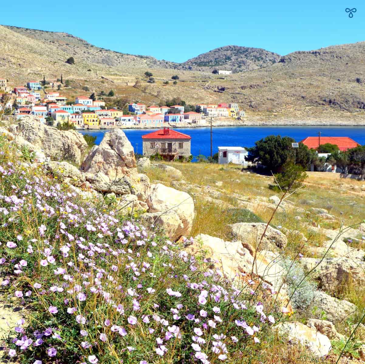 Lilac wildflowers by the roadsıde frame the outlook over towards the harbour at Halki. Colourful Greek houses are in the background.
