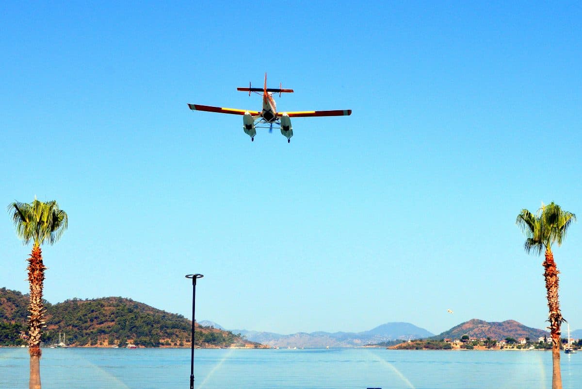 A firefighting plane flies low over the sea against a blue sky. Palm trees are each side of the shot.