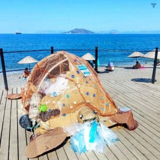A cardboard sculpture of a sea turtle with bits of recyclable rubbish stuck to it to highlight the importance of looking after nature.