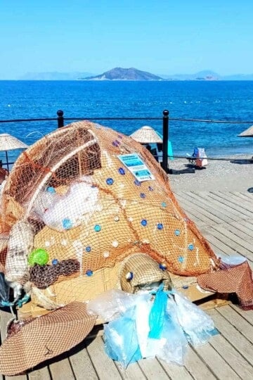 A cardboard sculpture of a sea turtle with bits of recyclable rubbish stuck to it to highlight the importance of looking after nature.