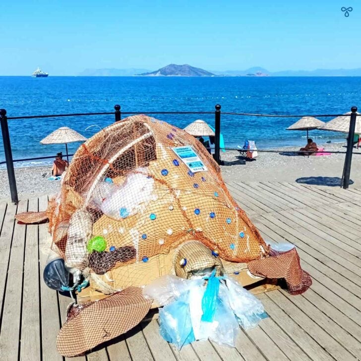 A cardboard sculpture of a sea turtle with bits of recyclable rubbish stuck to it to highlight the importance of looking after nature.