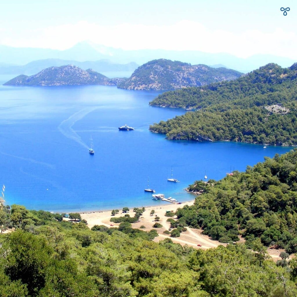 A view of Sarsala Bay from above. The sea is broken by many bays and pine clad hills.